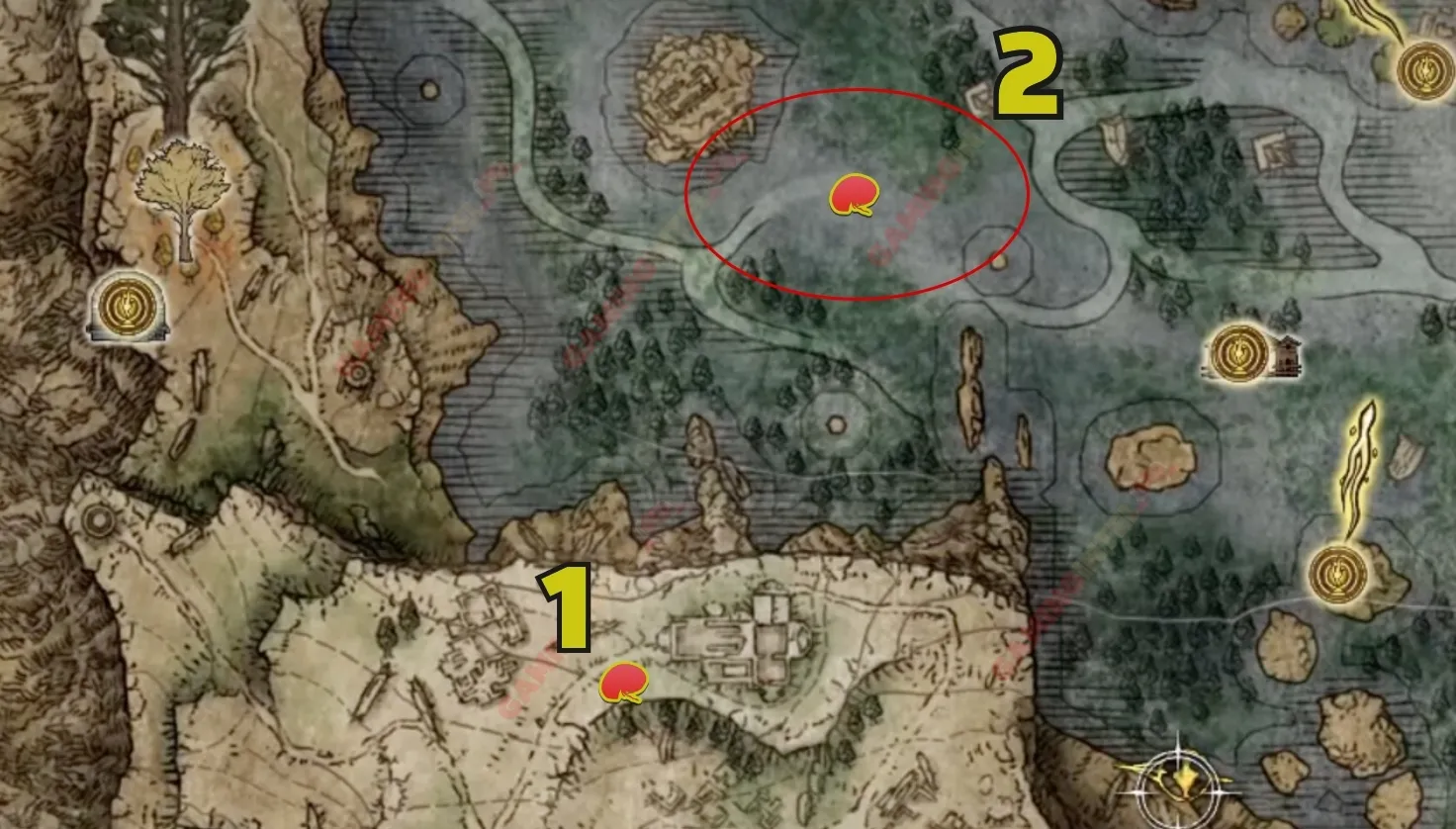 Elden Ring All Larval Tear Locations With Maps Where To Find