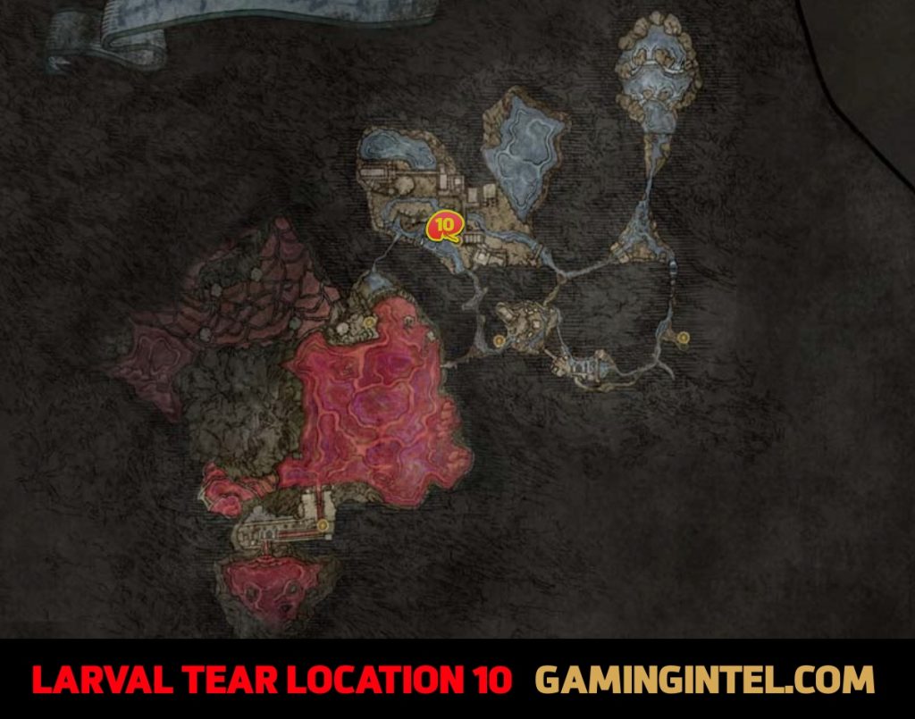 Larval Tear Location 10 Map Elden Ring