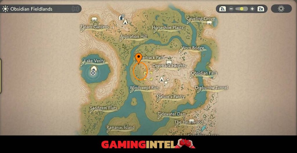 Munchlax Location Map Pokemon Legends Arceus