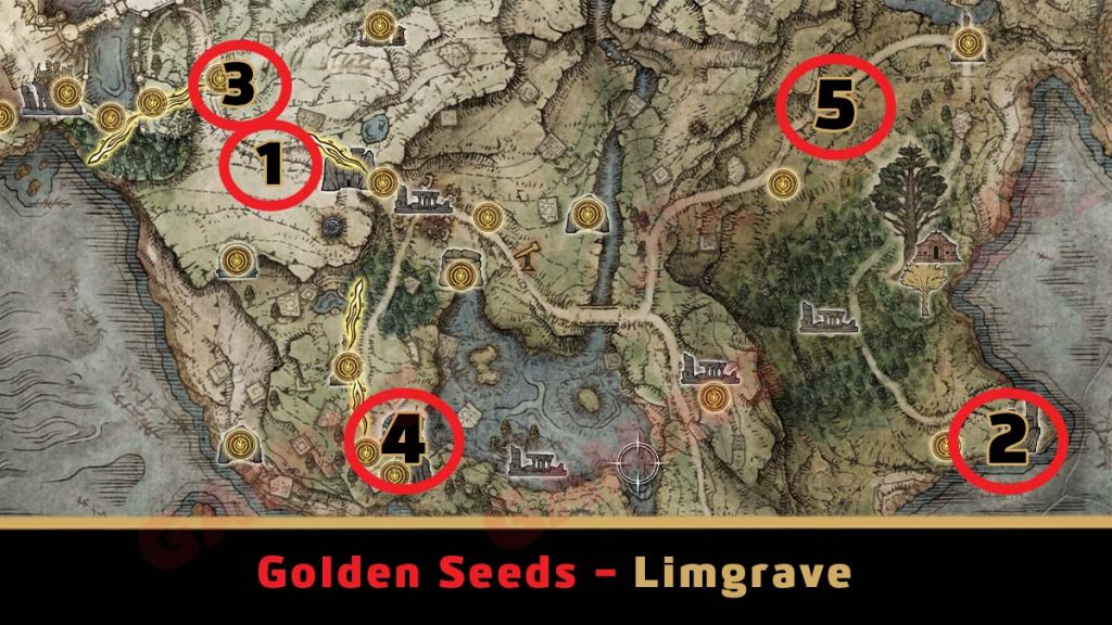 Limgrave Golden Seed Locations