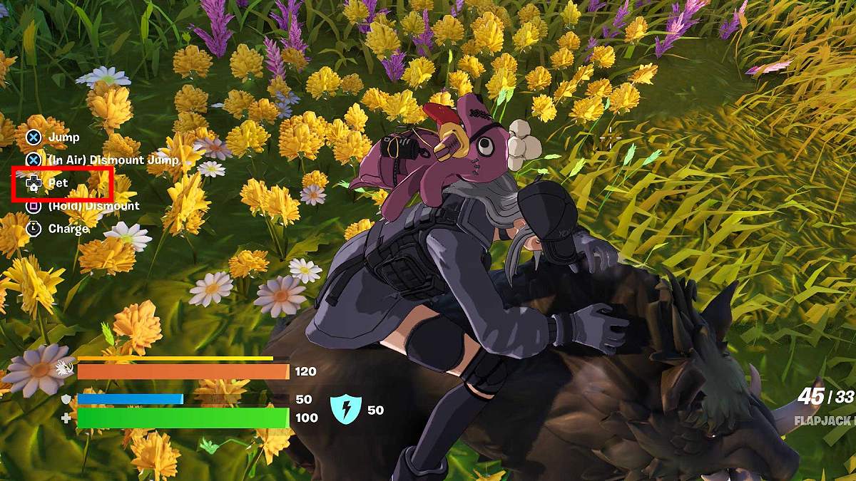 The player petting a wolf in Fortnite