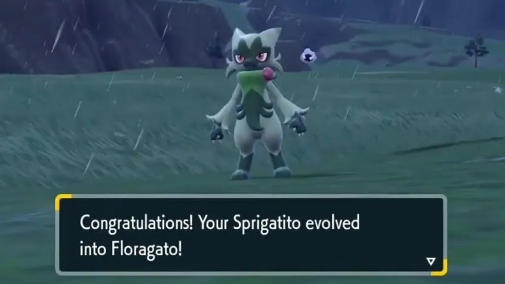 Floragato Evolution Pokemon Scarlet Violet