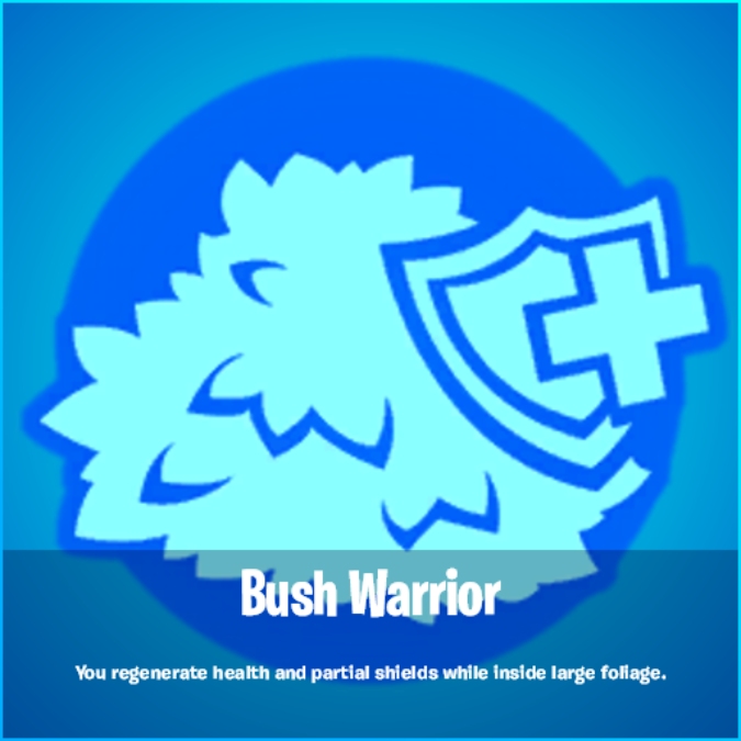 Bush Warrior Reality Augment