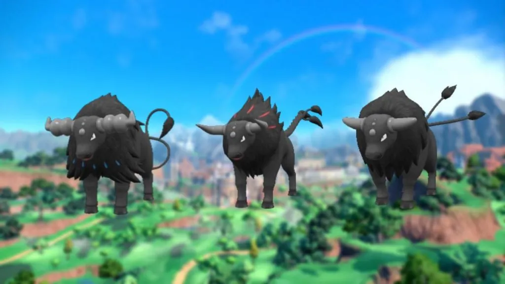 the Aqua, Combat and Blaze Breeds of Tauros in Pokemon Scarlet and Violet