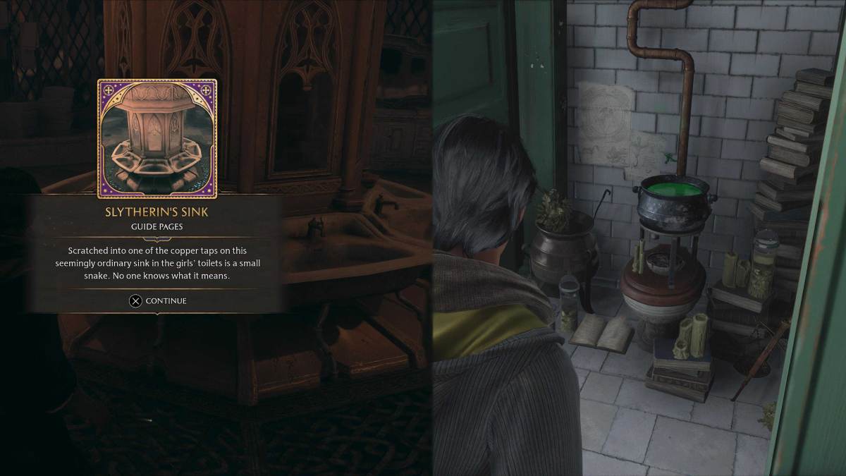 Chamber of Secrets references in Hogwarts Legacy