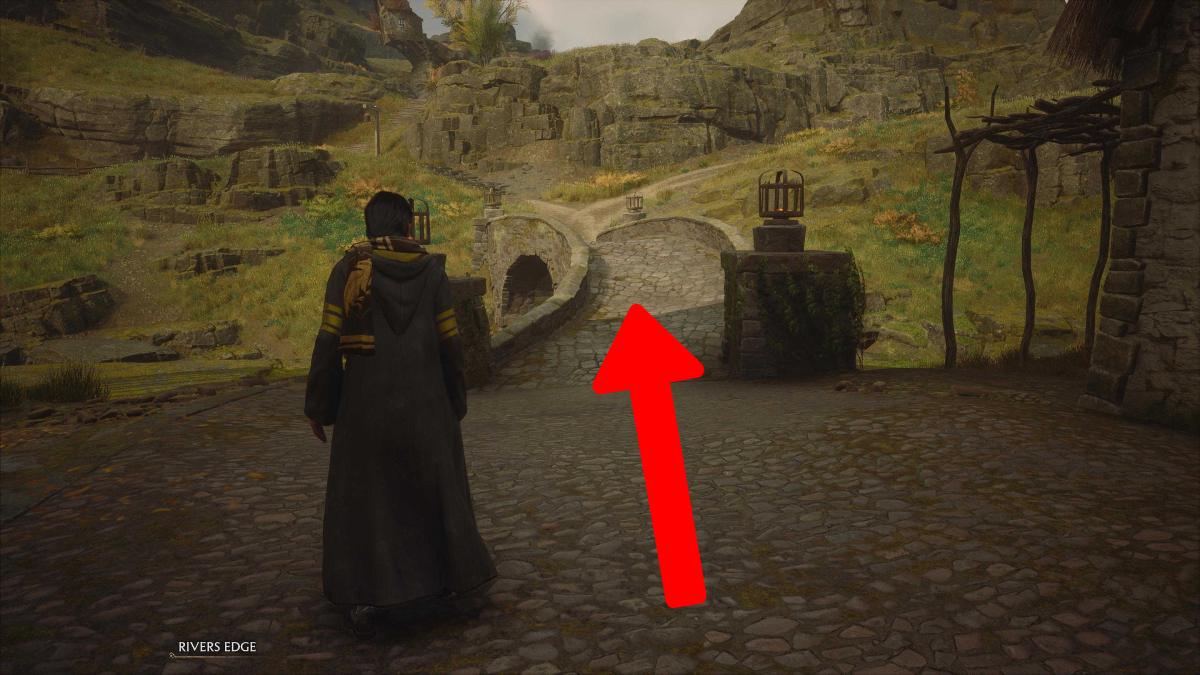 the Stone Bridge that needs to be crossed to get to Dogweed and Deathcap in Hogwarts Legacy