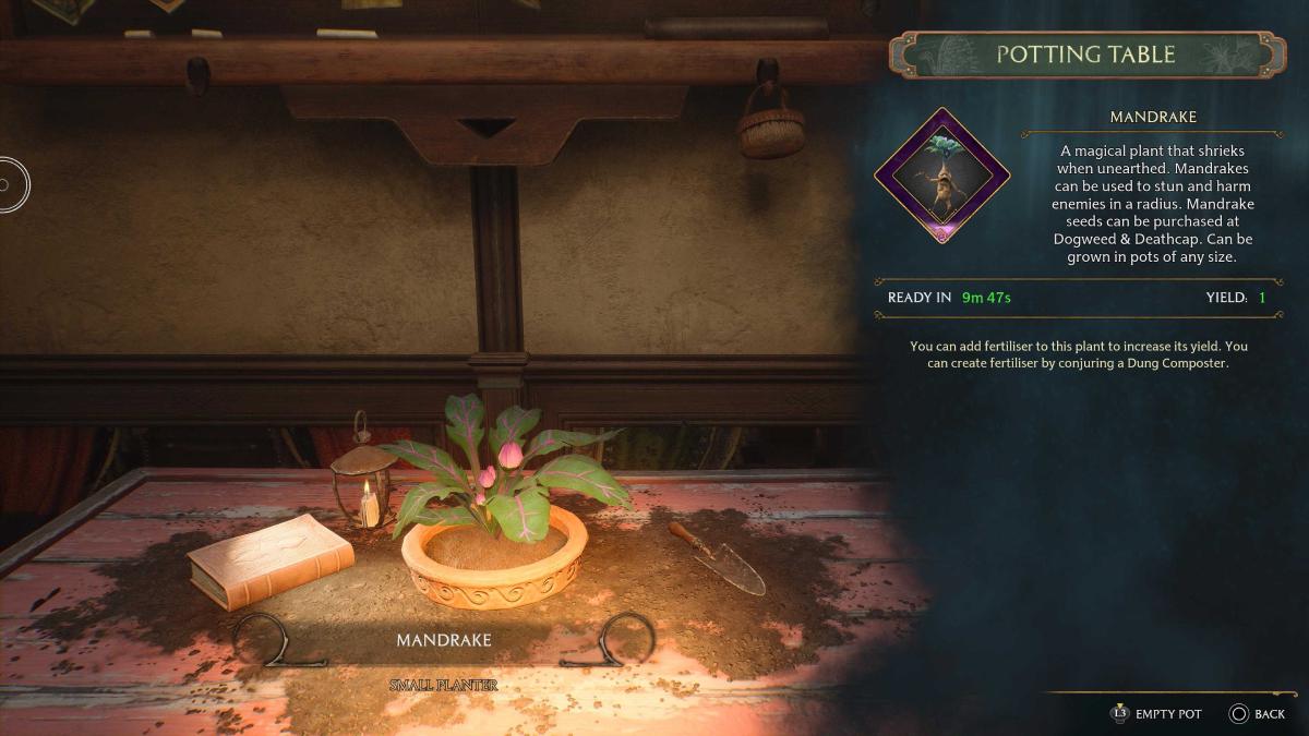 the Mandrake seed growth timer in Hogwarts Legacy