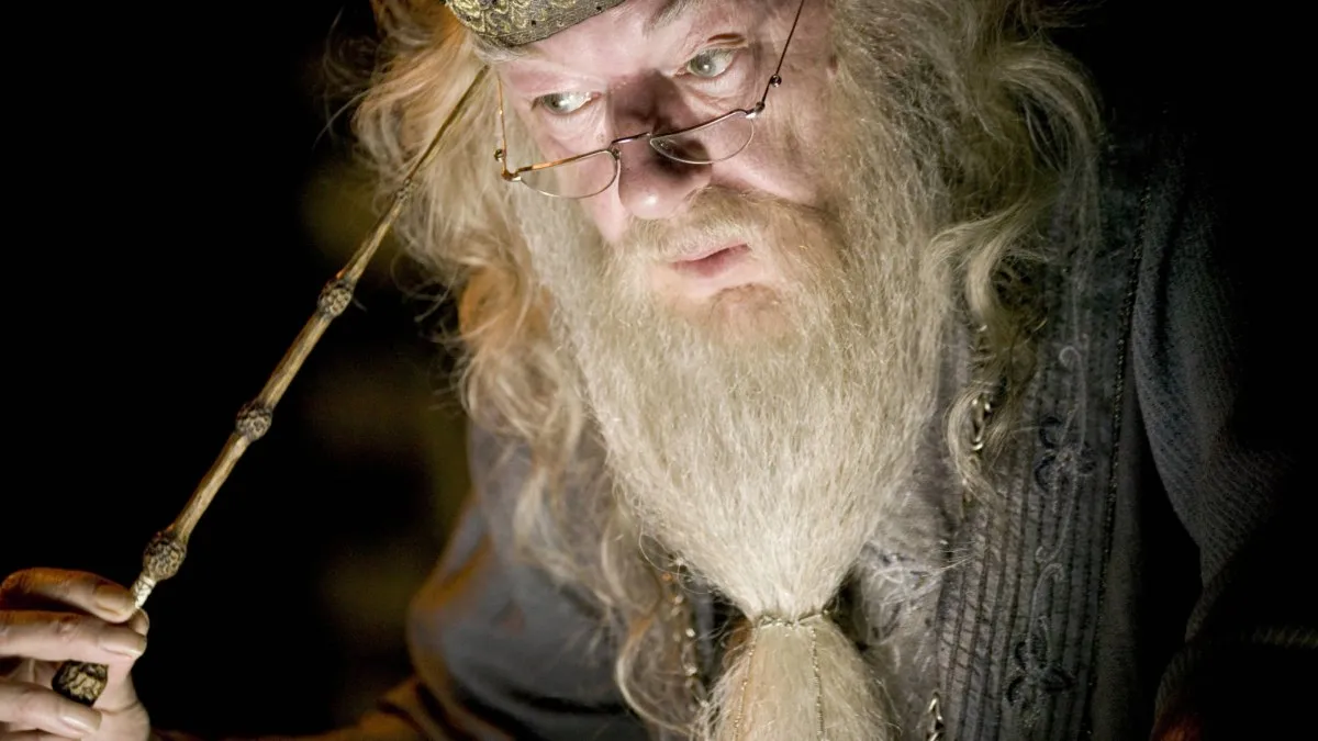 Dumbledore with Elder Wand