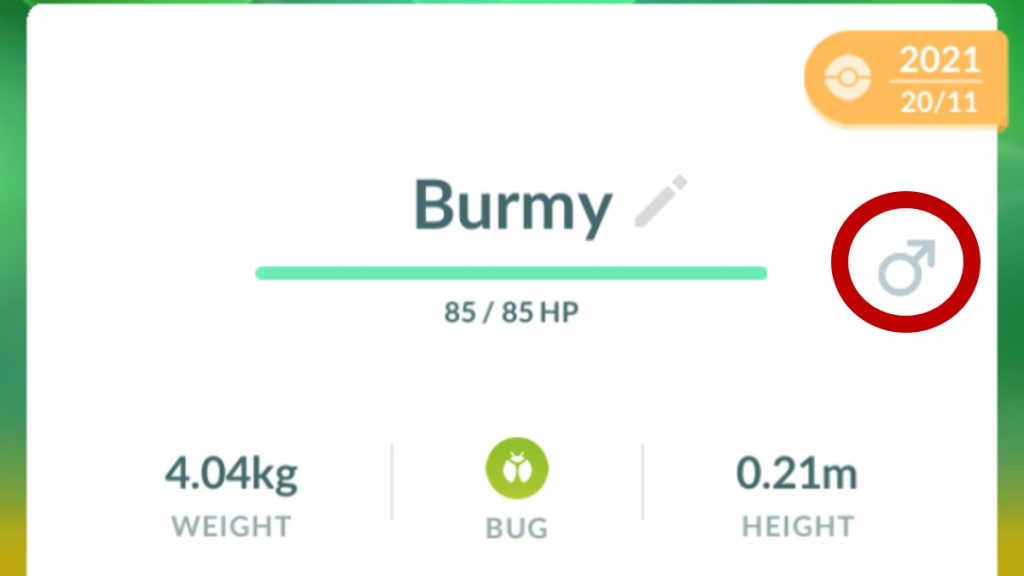 Identify Male Burmy Pokemon GO