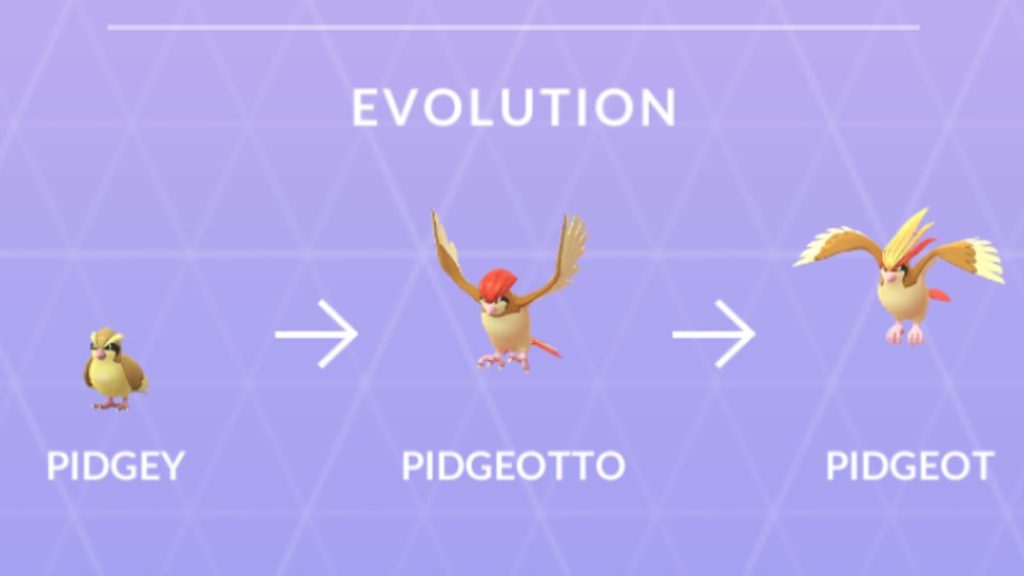 Pokemon GO Pidgey Evolution