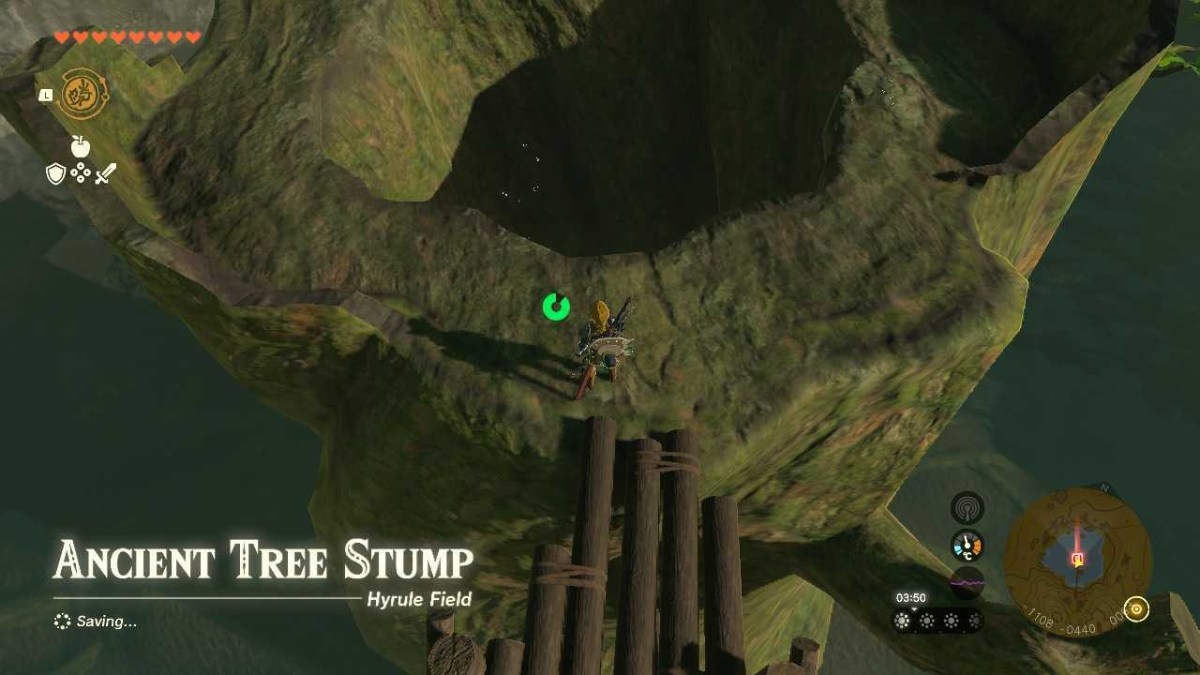 Ancient Tree Stump Zelda TOTK