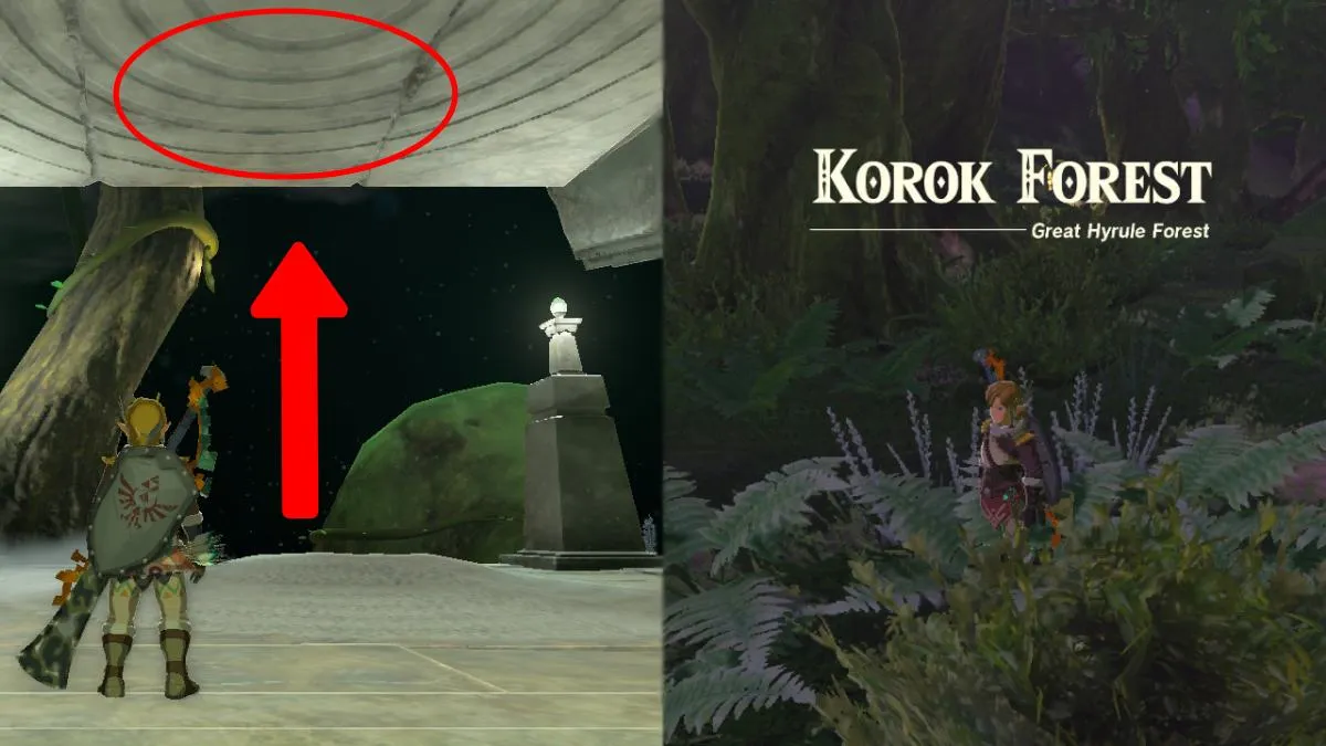 The structure you need to ascend through to get into Korok Forest