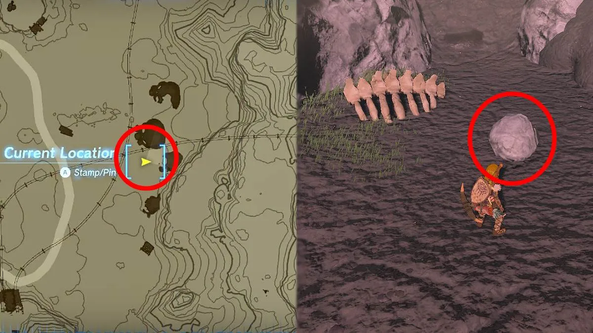 The location of a rock octorok in TOTK