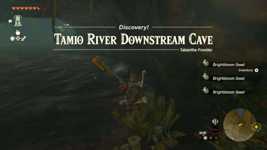 Tamio River Downstream Cave TOTK