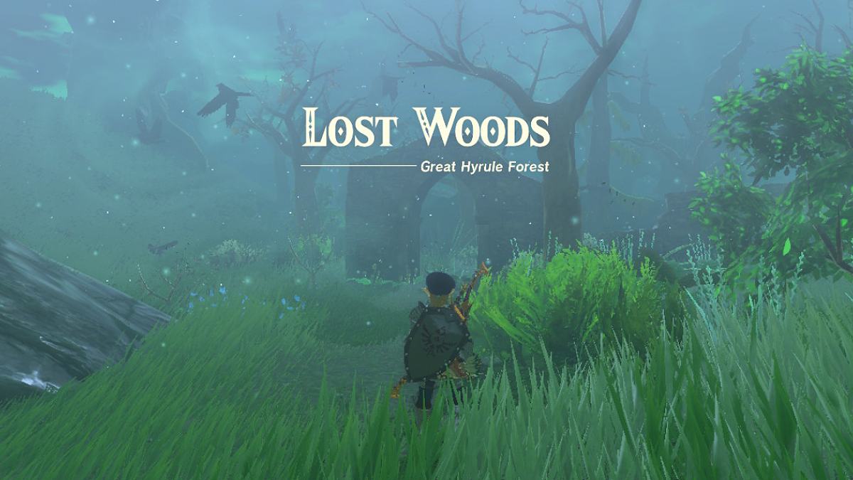 Link in the Lost Woods in TOTK