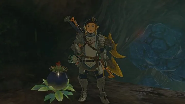 Link standing next to a Bomb Flower