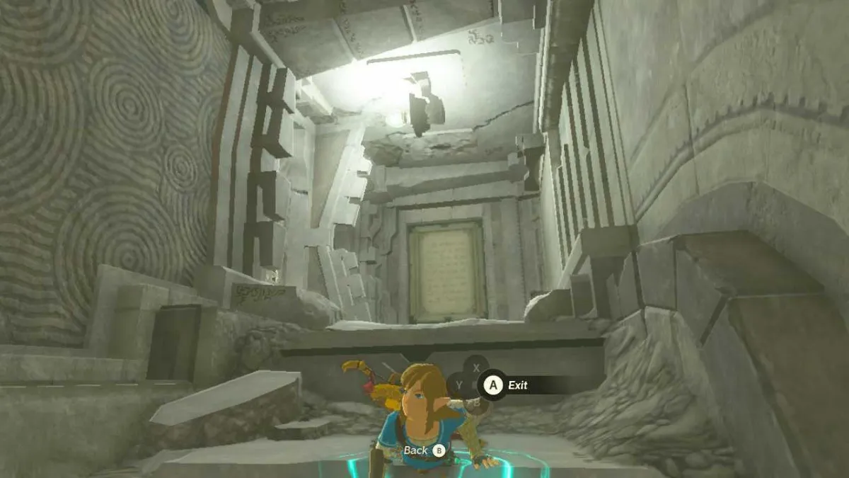 Take a Picture of the Stone Slab Zelda TOTK