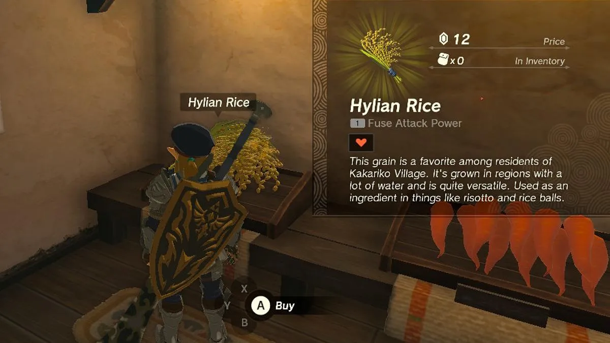 Hylian Rice at TOTK's Hateno General Store