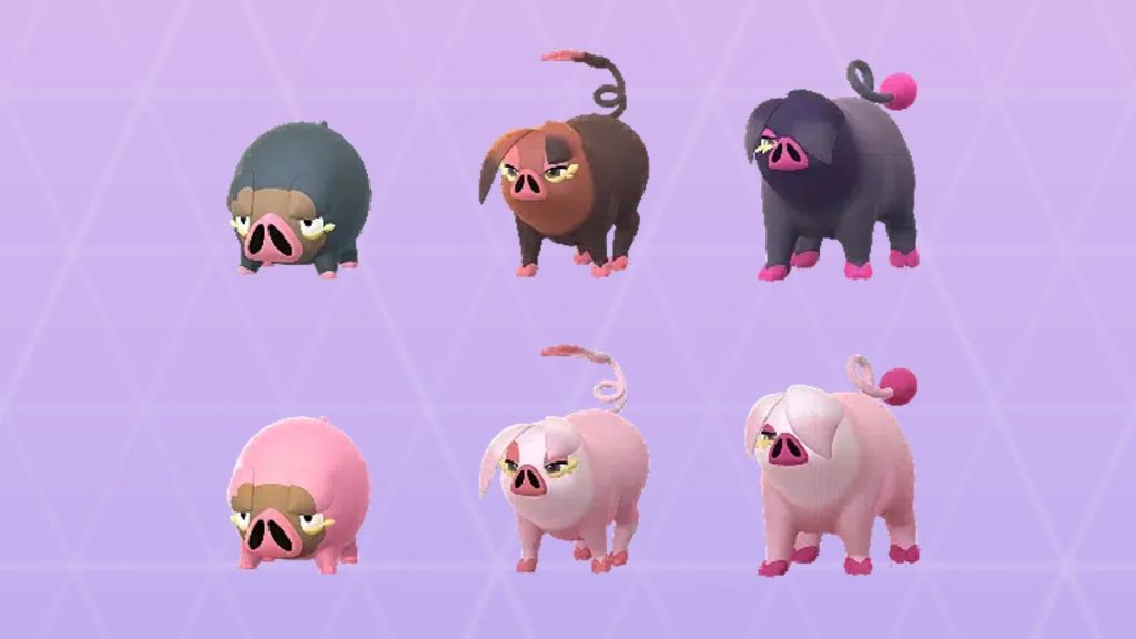 Normal and Shiny Lechonk and Oinkologne Pokemon GO