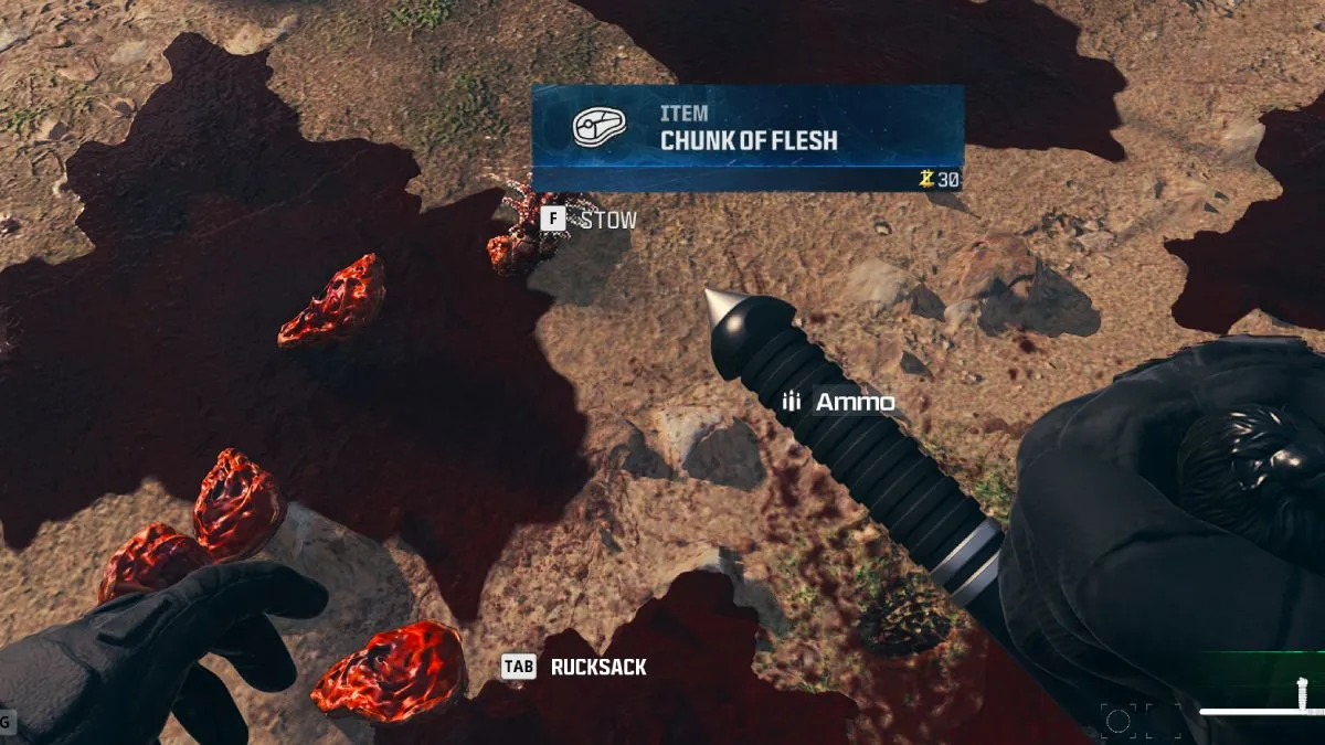 Chunk of Flesh in MW3 Zombies